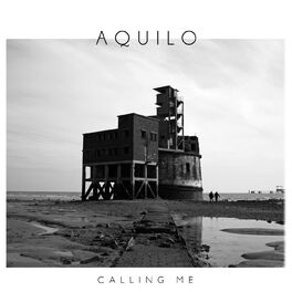 Album cover of Calling Me