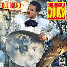 Album cover of Qué Bueno