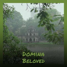 Album cover of Domina Beloved