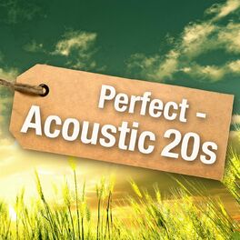 Album cover of Perfect - Acoustic 20s
