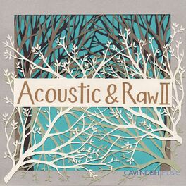 Album cover of Acoustic & Raw, Vol. 2