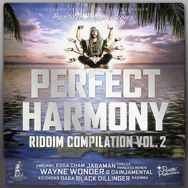 Album cover of Perfect Harmony Riddim Vol 2