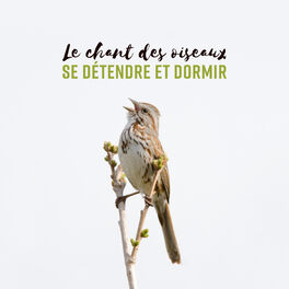 Album cover of Le chant des oiseaux - Se détendre et dormir, Sons apaisants de la nature, Bruit de forêt, Anti-dépression stress et anxiété