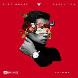 Album cover of Afro House Evolution, Vol. 01