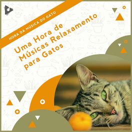 Album cover of 1 Hora de Músicas Relaxamento para Gatos