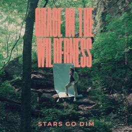 Album cover of Grace In The Wilderness