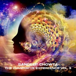 Album cover of The Immersive Experience Vol. 3