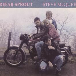 Album cover of Steve McQueen