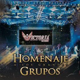 Album cover of Homenaje a los Grandes Grupos
