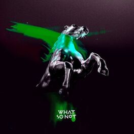 Album cover of Not All the Beautiful Things (Remixes)