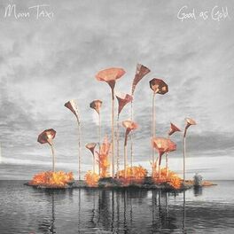Album cover of Good As Gold
