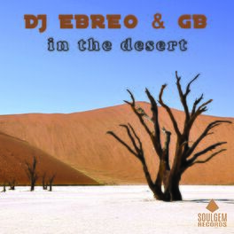 Album cover of In the desert