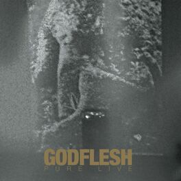 Album cover of PURE Live