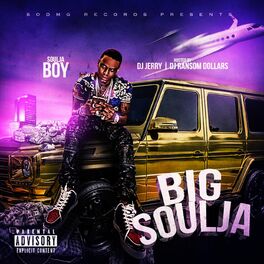 Album cover of Big Soulja