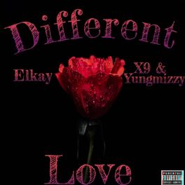 Album cover of Different Love (feat. Elkay)