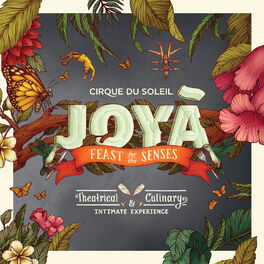Album cover of JOYÀ