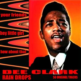 Album cover of Rain Drops