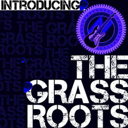 Album cover of Introducing the Grass Roots