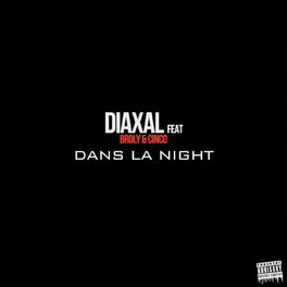 Album cover of Dans la night