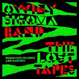 Album cover of The Lost Tapes