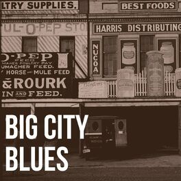 Album cover of Big City Blues