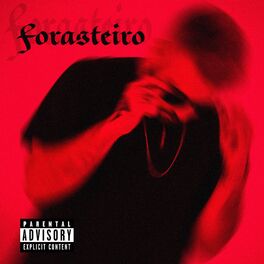 Album cover of Forasteiro