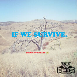 Album cover of If We Survive