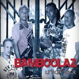 Album cover of Urban Zook