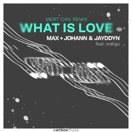 Album cover of What Is Love (feat. indiigo) (Mert Can Remix)