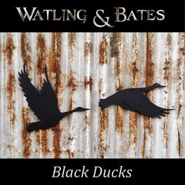 Album cover of Black Ducks