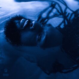 Album cover of The Blue Hour