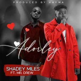 Album cover of Adorley (feat. Mr Drew)