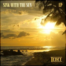 Album cover of Sink with the Sun