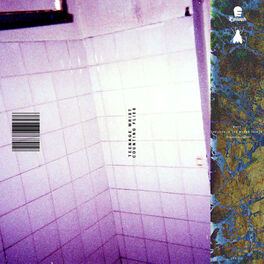 Album cover of Counting Flies