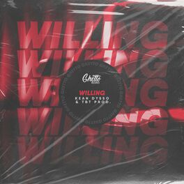 Album cover of Willing