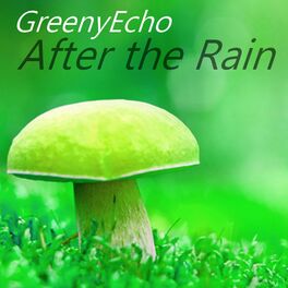 Album cover of After the Rain