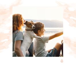 Album cover of Meilleures pistes pour l'anxiété de séparation de votre chien - Détente