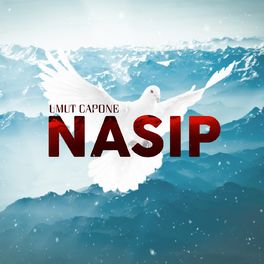 Album cover of Nasip