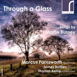 Album cover of Through a Glass: Songs by Martin Bussey