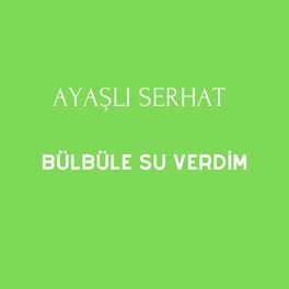 Album cover of Bülbüle Su Verdim