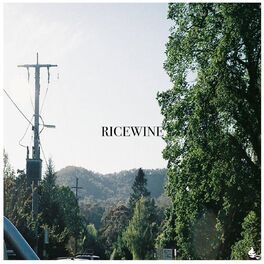 Album cover of Flood