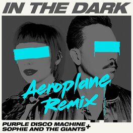 Album picture of In The Dark (Aeroplane Remix)