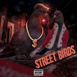 Album cover of Street Birds