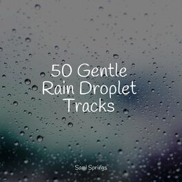 Album cover of 50 Loopable Rain Sounds for Complete Serenity
