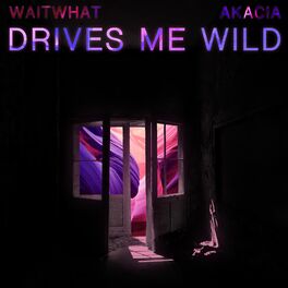 Album cover of Drives Me Wild