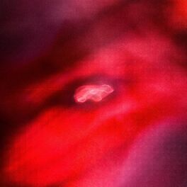 Album cover of The Faded Orbit