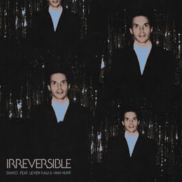 Album cover of Irreversible (feat. Leven Kali & Van Hunt)