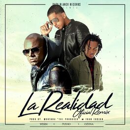 Album picture of La Realidad (Remix)