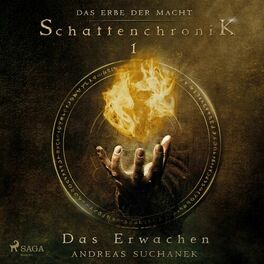 Album cover of Das Erbe der Macht - Schattenchronik 1: Das Erwachen