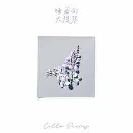 Album cover of 古典弦乐: 睡着的大提琴